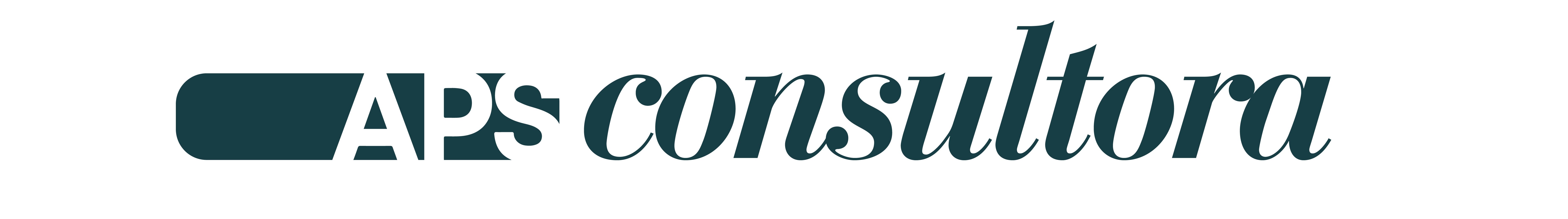 APS Consultora